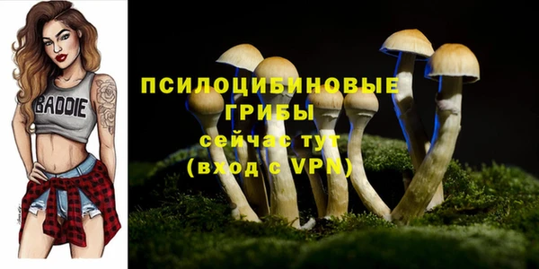 твердый Белоозёрский