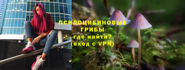 синтетический гашиш Белокуриха