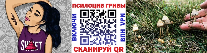 где купить   ОМГ ОМГ онион  Галлюциногенные грибы GOLDEN TEACHER  Гороховец 